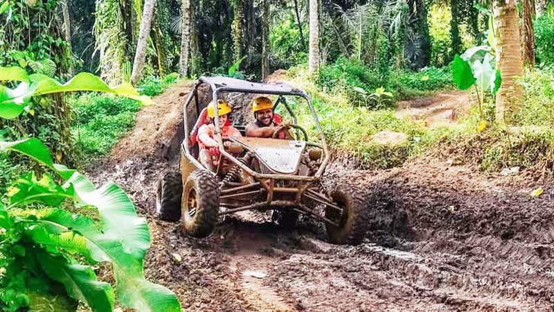 UTV Jungle Buggy Bali