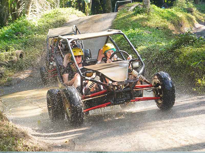 UTV Jungle Buggy Bali