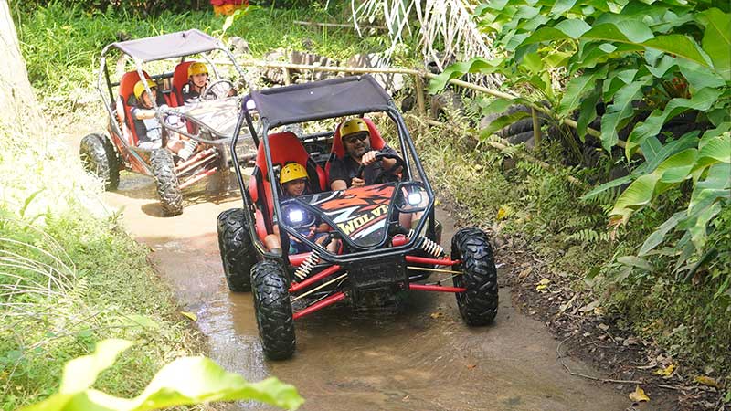 Is UTV Buggy Bali Suitable for Beginners