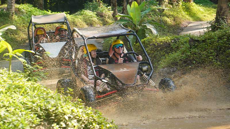 UTV Buggy Ride Through Rice Fields Bali