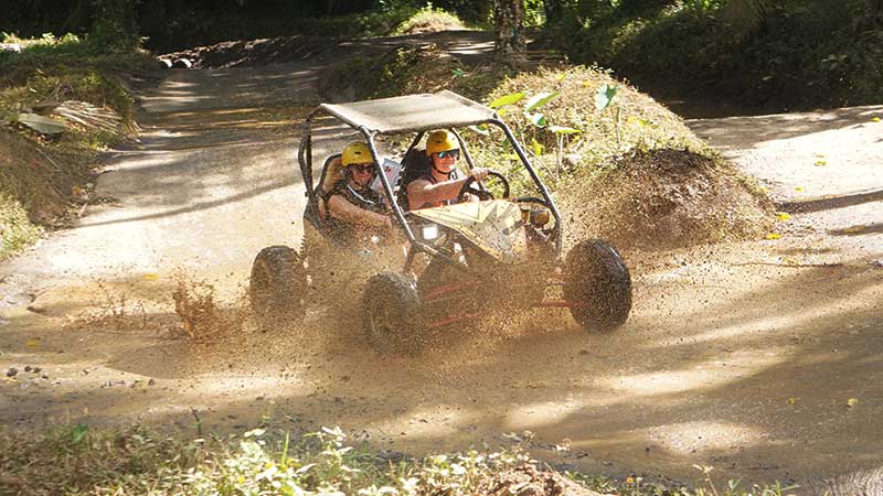 What Is Bali Buggy UTV